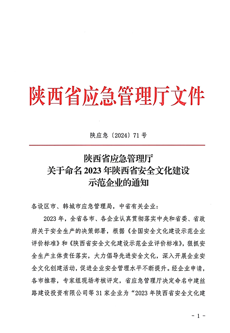 一三一公司获评陕西省安全文化建设示范企业文件1.jpg
