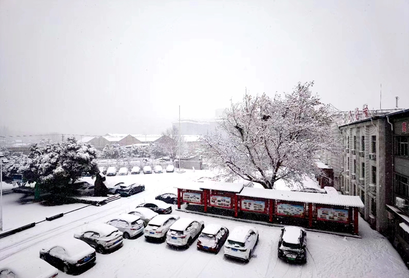 机关大院雪景（摄影：雷潘潘）.jpg